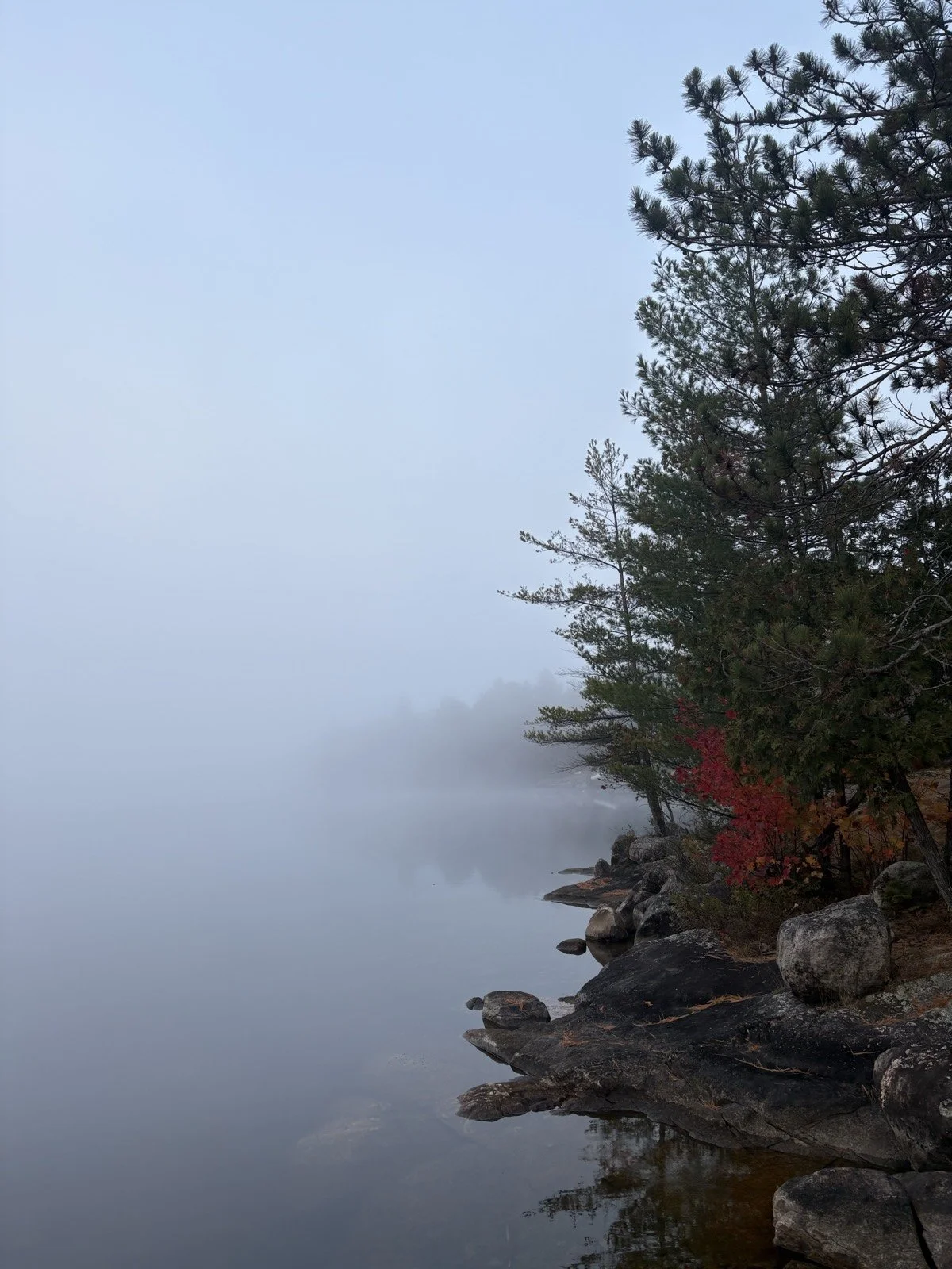 Fog over still water, the far shore invisible, pines and a patch of red leaves on the rocks.